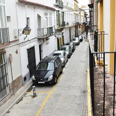 Naranjas Jerez de la Frontera